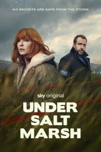 Постер сериала Под солончаком